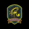 flat750x075f pad750x1000f8f8f8.u2 7 - S.T.A.L.K.E.R. 2 Merch